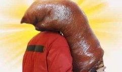 女孩子说吃瓜什么意思,揭秘“吃瓜”女孩们的社交密码